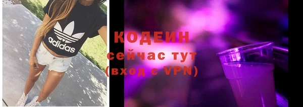 стаф Кулебаки