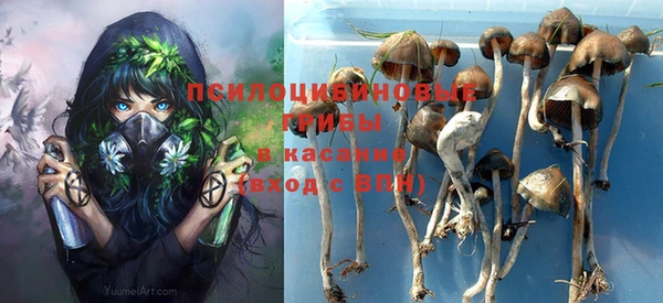 стаф Кулебаки