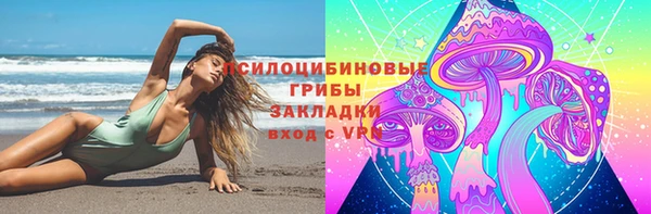 ГАЛЛЮЦИНОГЕННЫЕ ГРИБЫ Куйбышев