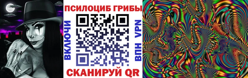 дарк нет телеграм  Усть-Илимск  Галлюциногенные грибы Cubensis  купить  цена 