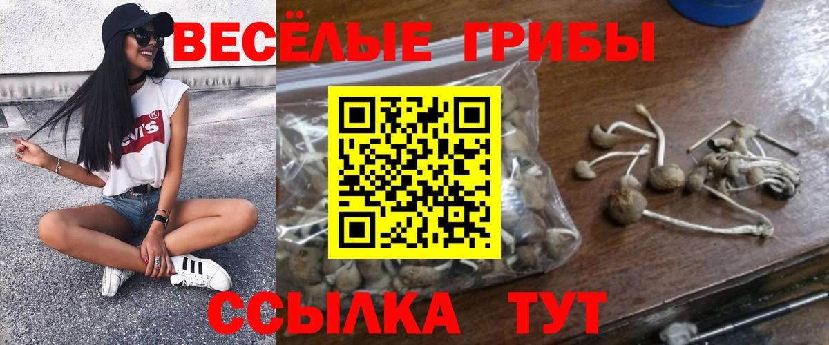 Галлюциногенные грибы Psilocybine cubensis Усть-Илимск