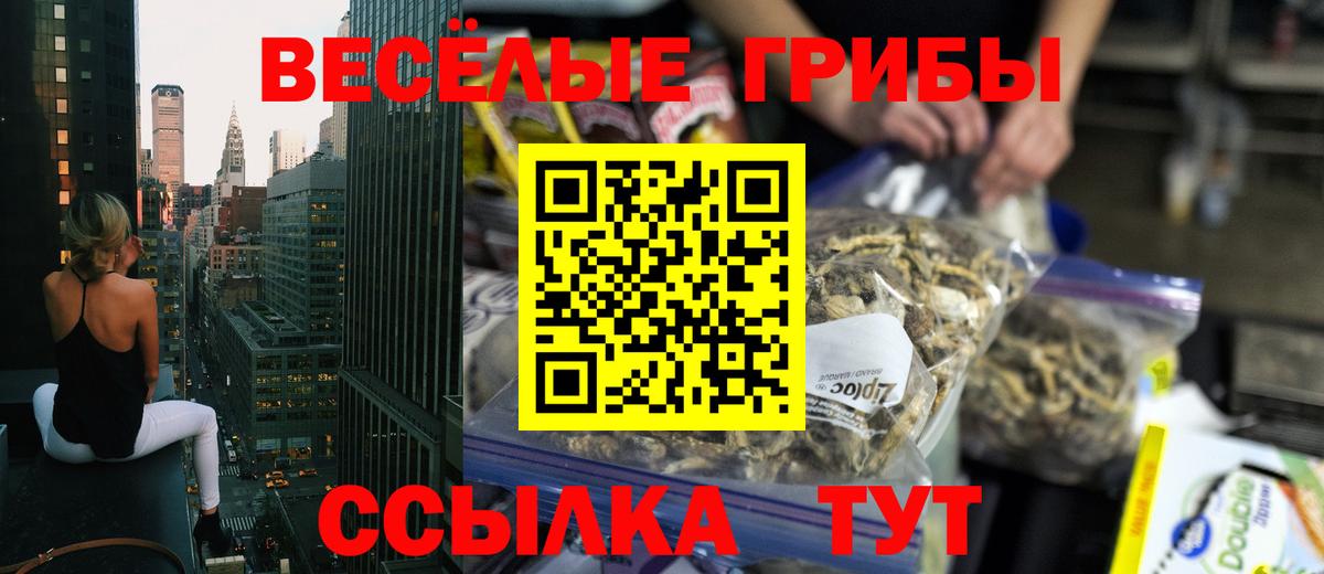 Усть-Илимск  Псилоцибиновые грибы мицелий  Вход с VPN 