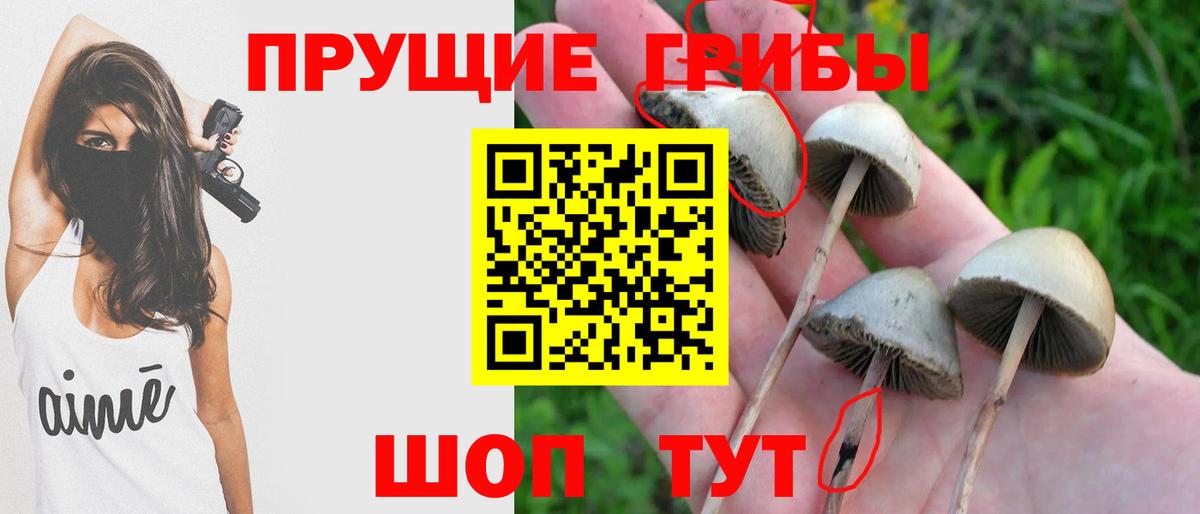 Псилоцибиновые грибы Усть-Илимск