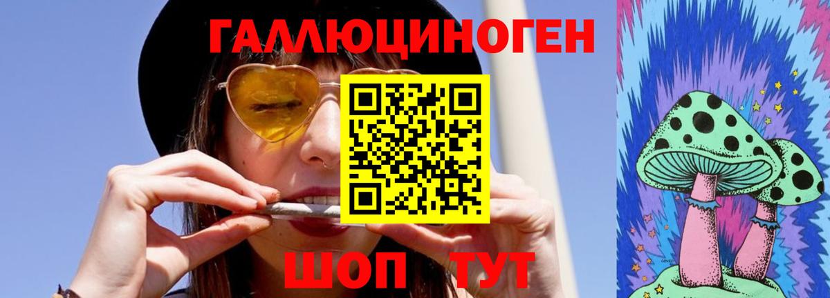 дарнет шоп  Усть-Илимск  Псилоцибиновые грибы прущие грибы 